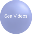 SeaVideos